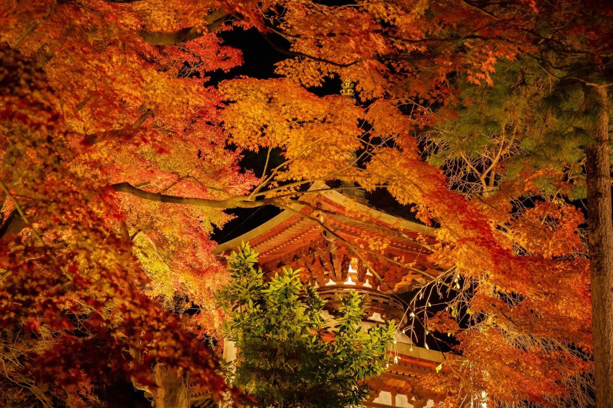 Kamisuwa Onsen Shinyu Hotel Exterior photo